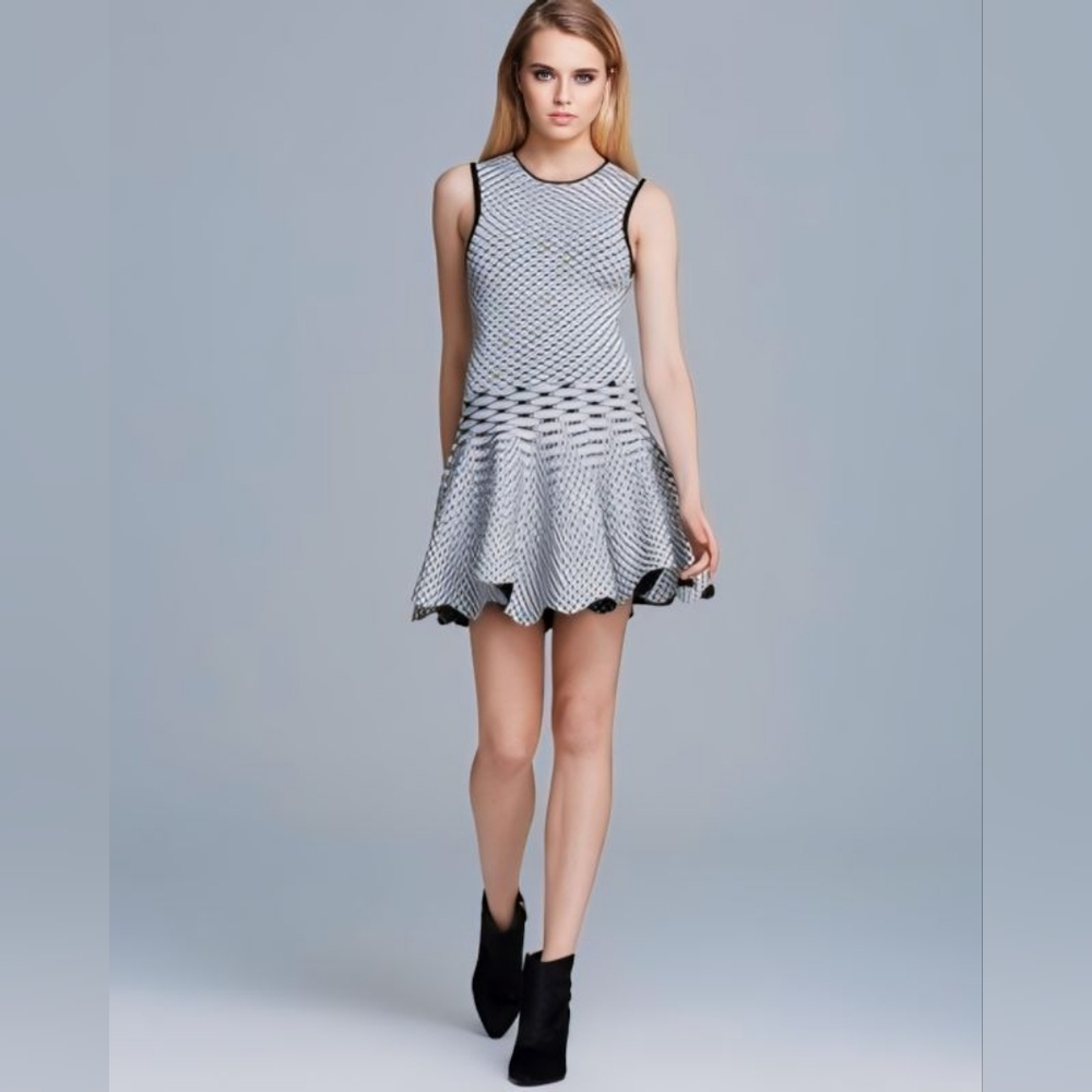 Torn by Ronny Kobo Liza Dress